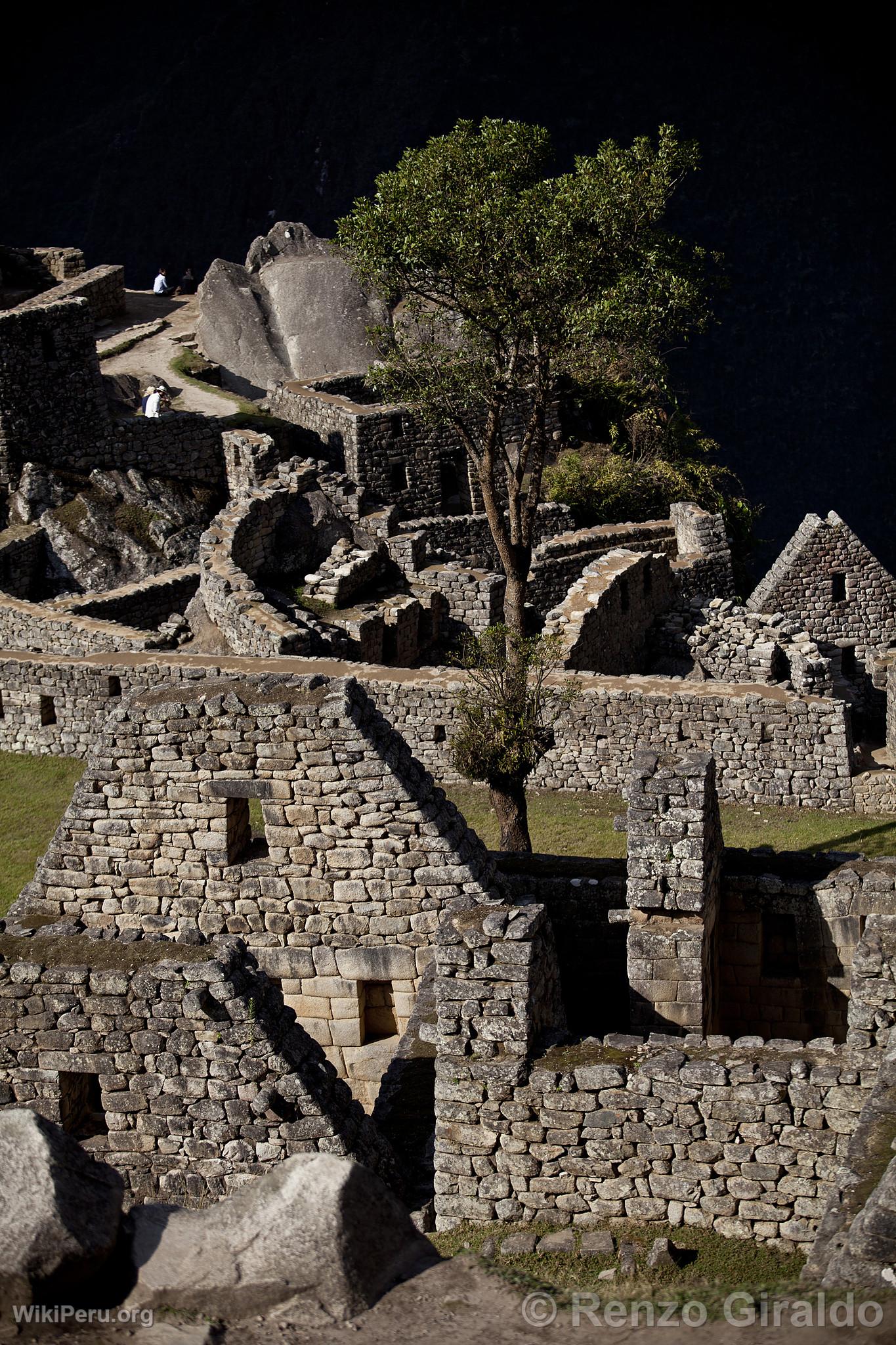 Citadel of Machu Picchu