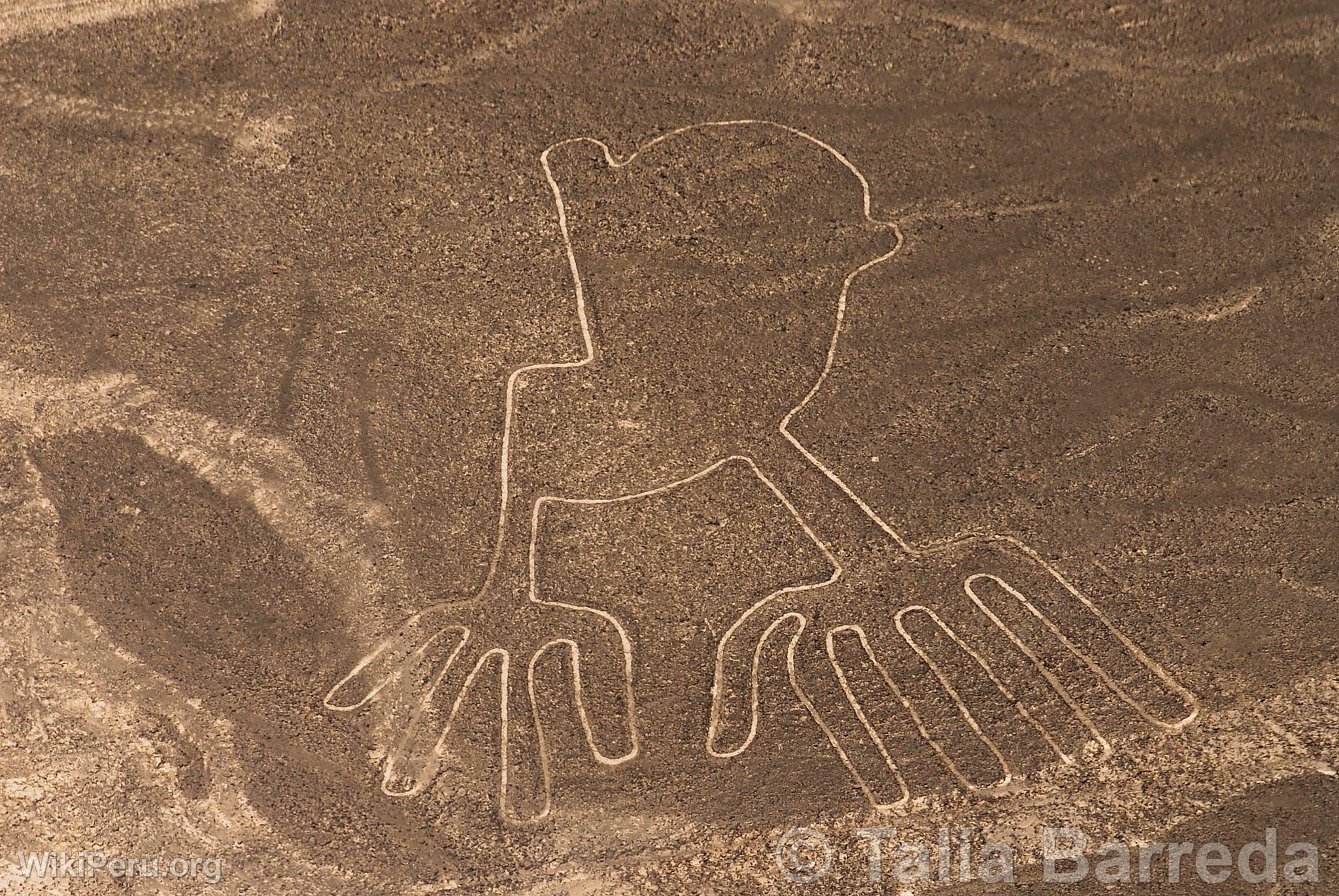 Nazca lines