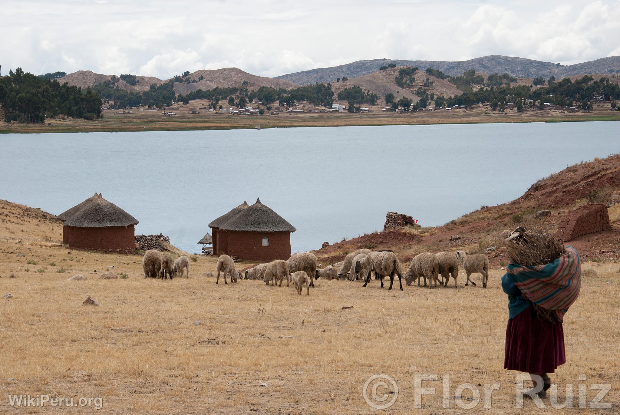 Tikonata Island on Lake Titicaca