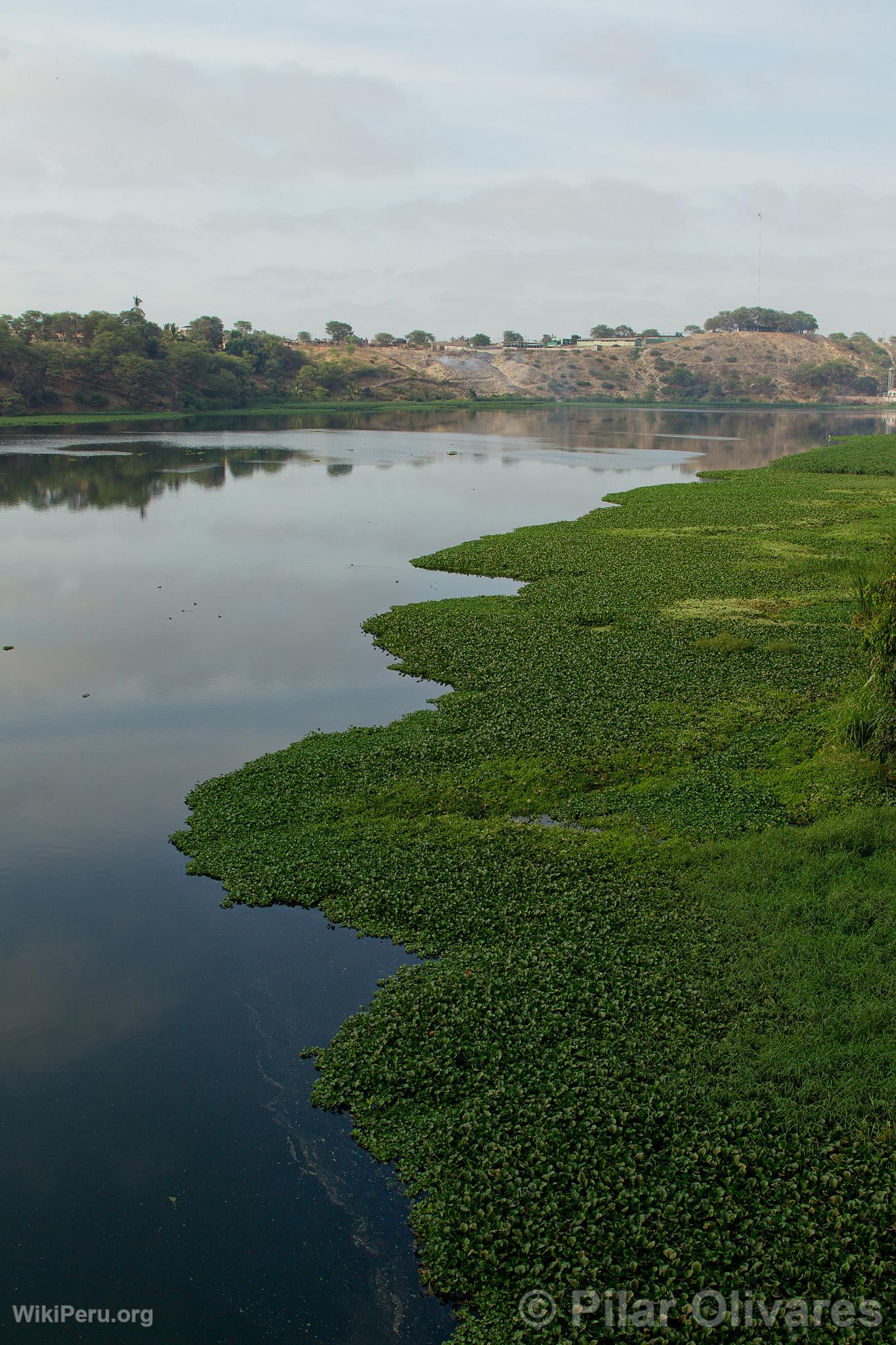 Virril Estuary