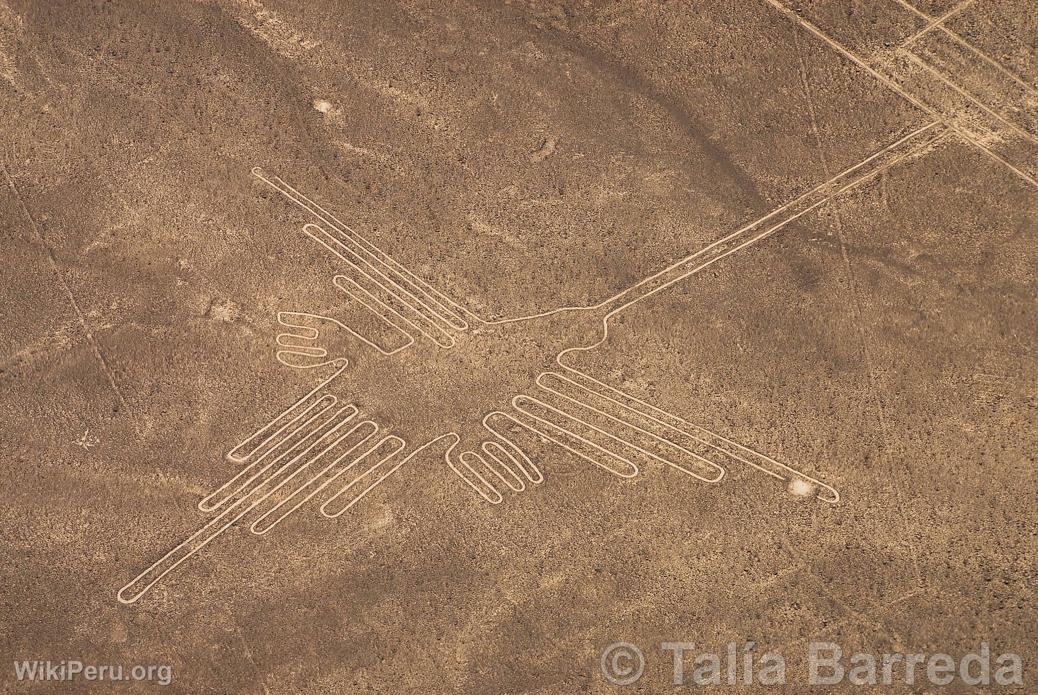 Nazca lines