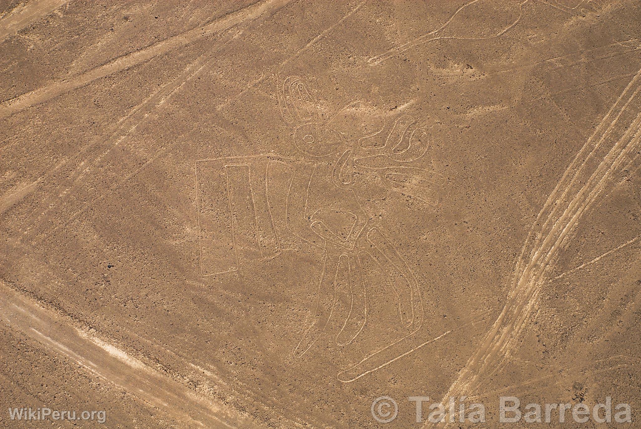 Nazca lines