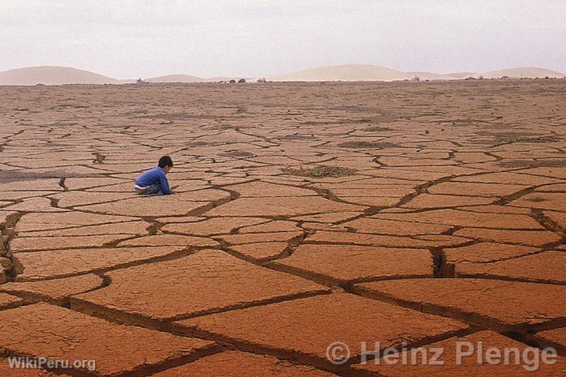 Sechura Desert