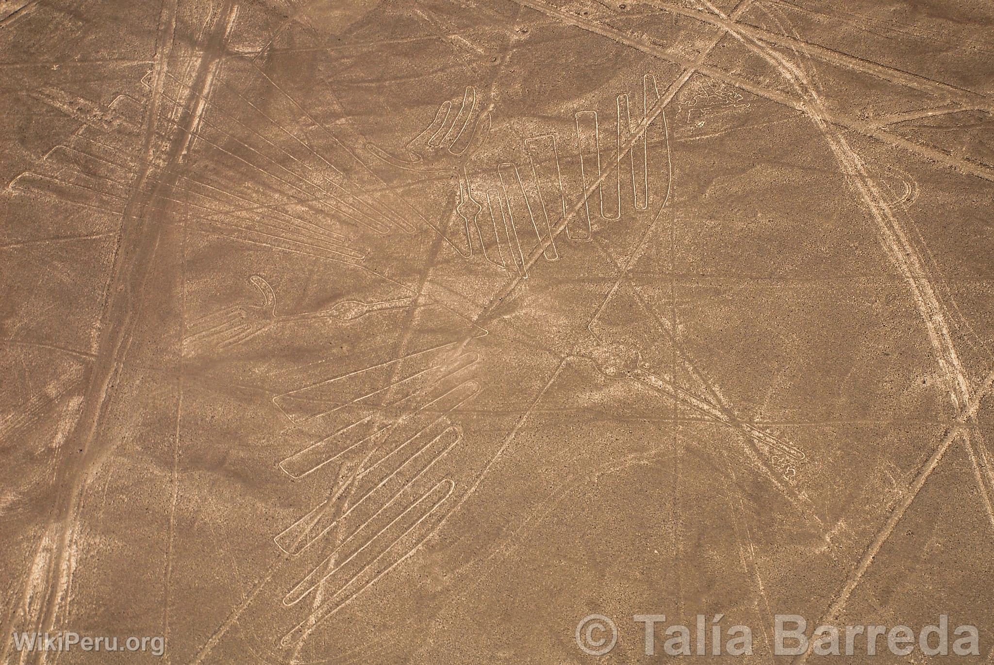 Nazca lines