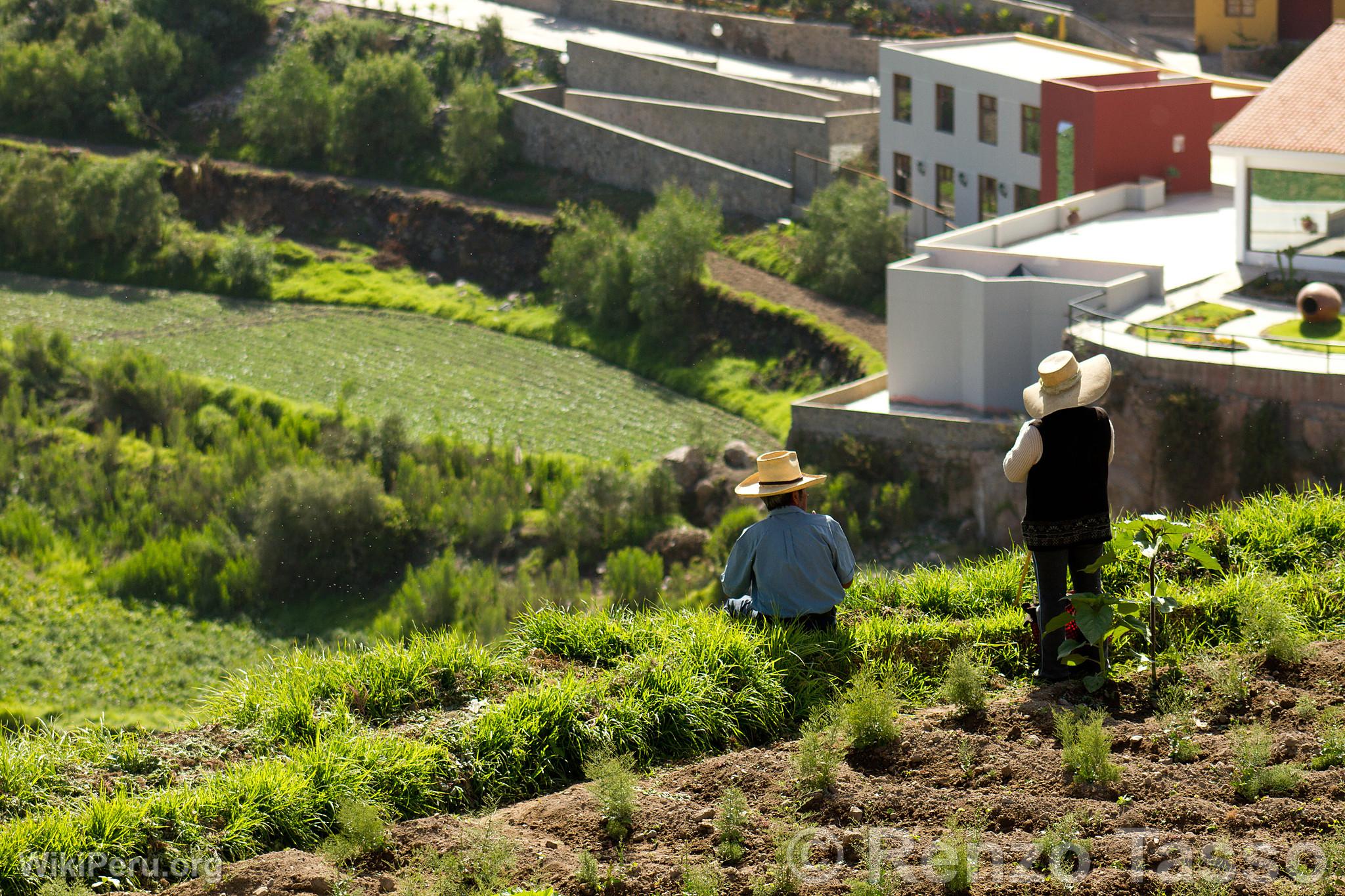 Arequipa Countryside