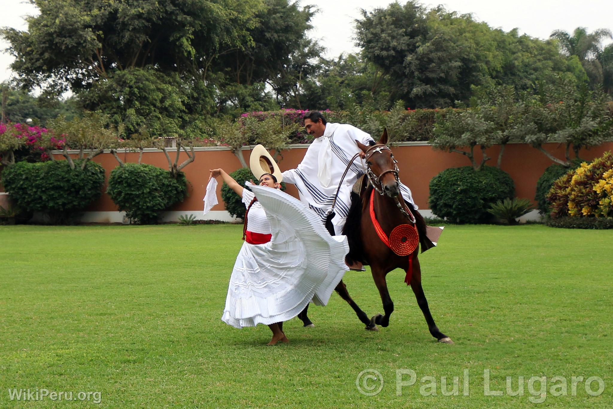 La Marinera and the Paso horse