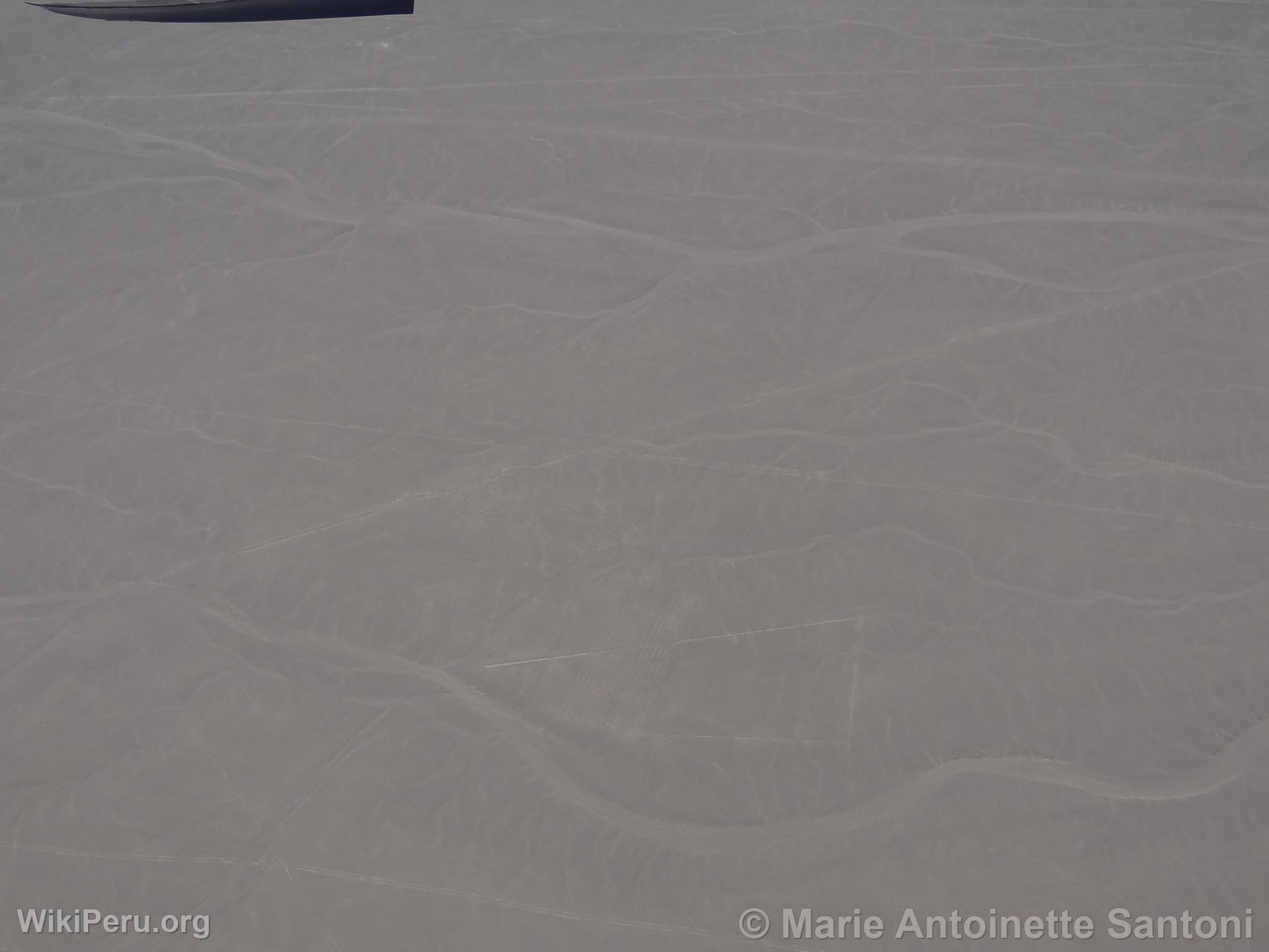 Nazca lines