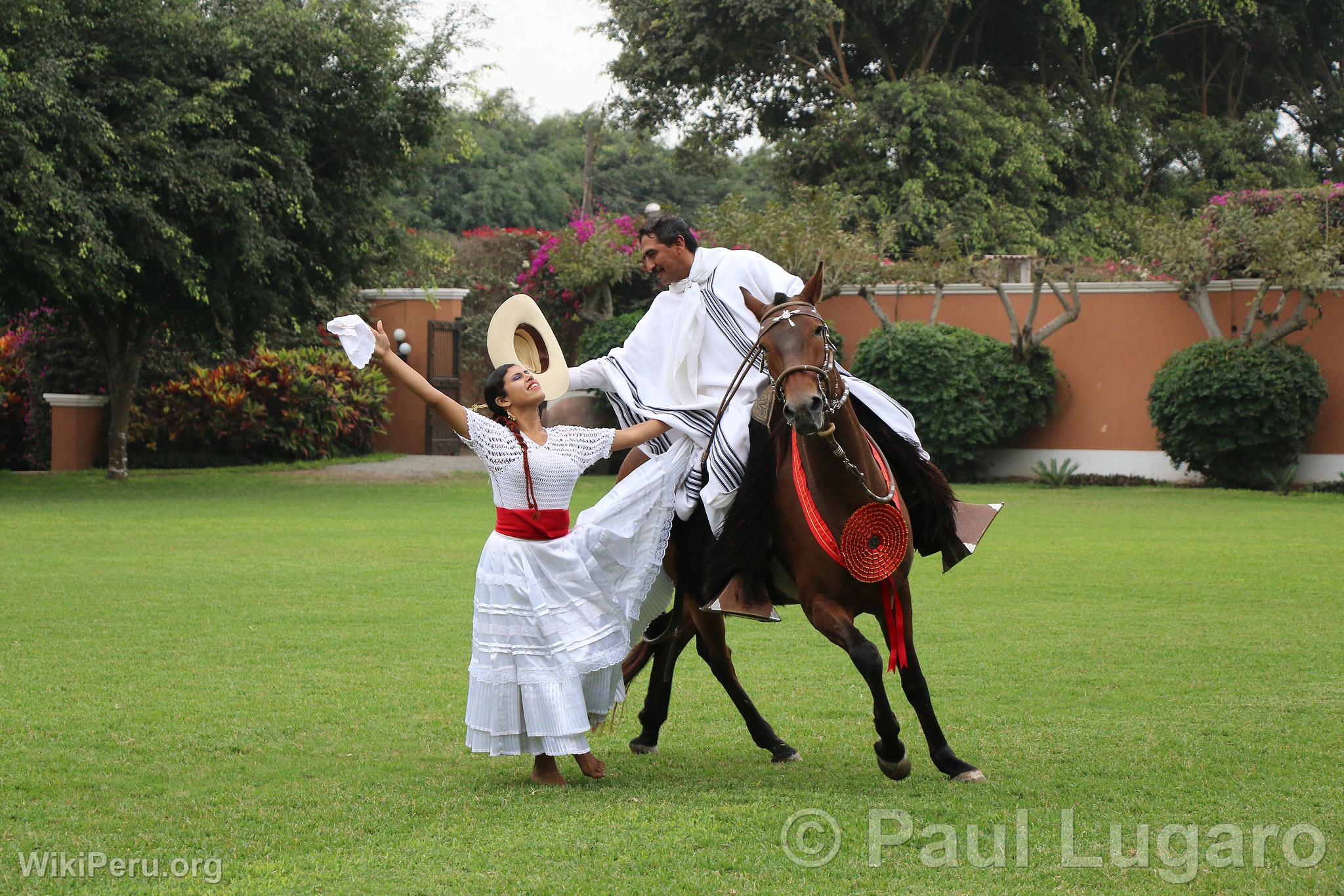 La Marinera and the Paso horse