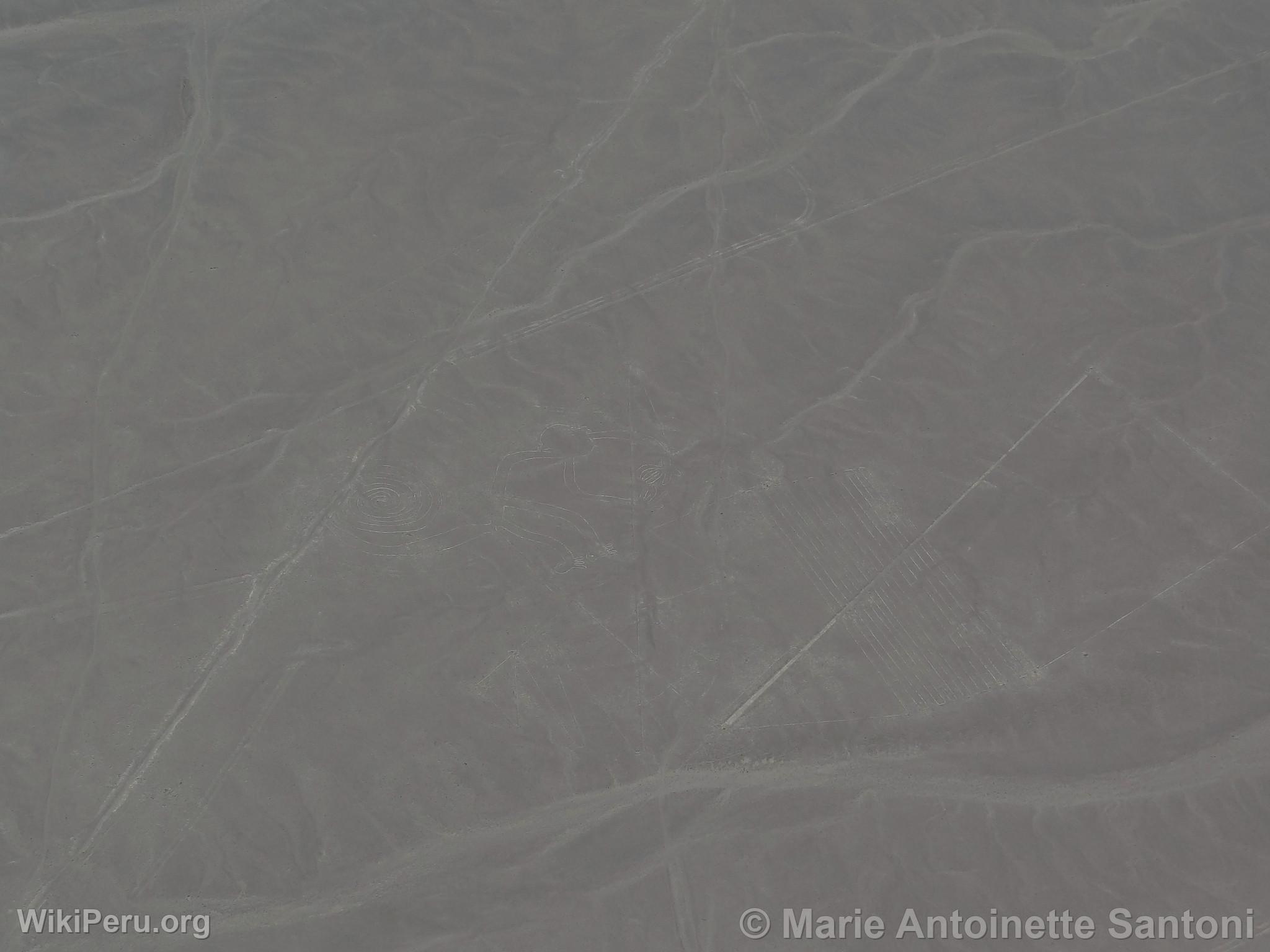 Nazca lines