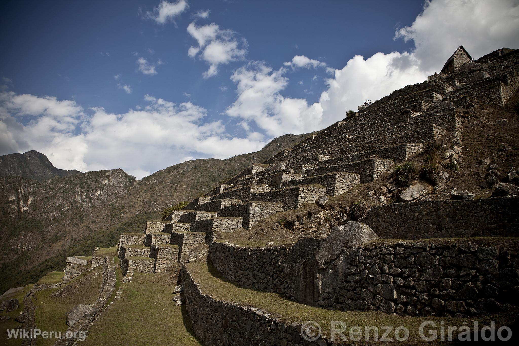 Citadel of Machu Picchu