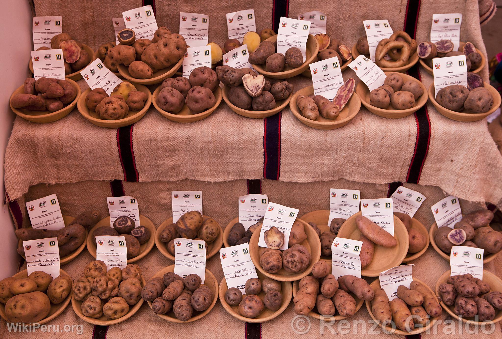 Varieties of Potatoes