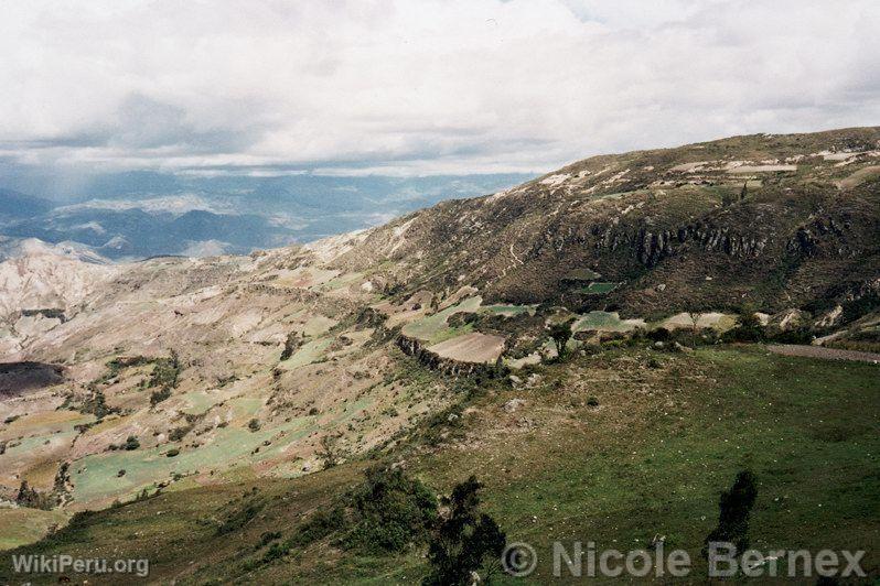 Humid Andes, Cutervo