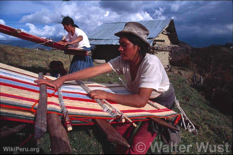 Weavers from Amazonas