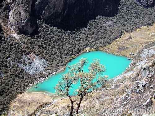 White Cordillera