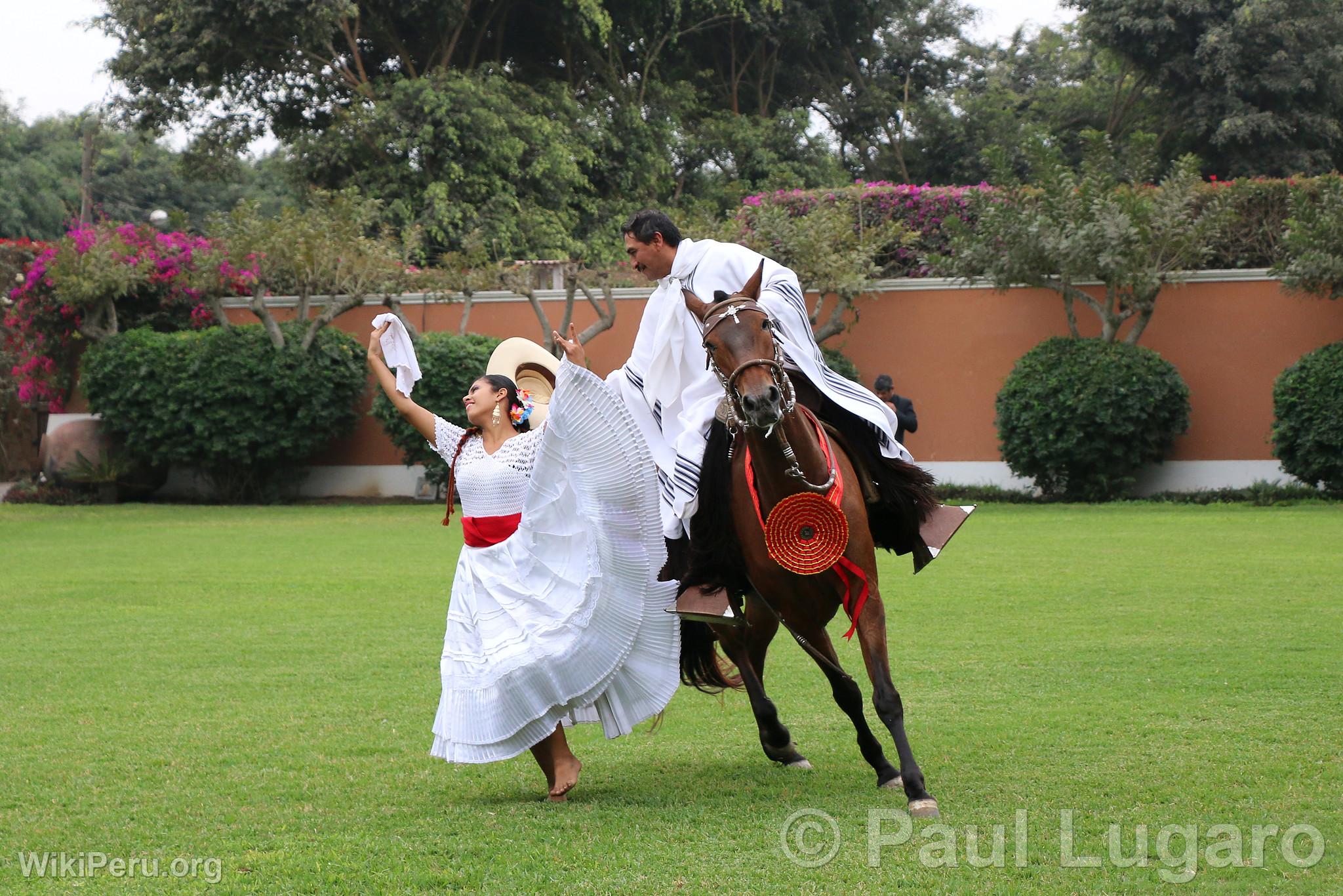 La Marinera and the Paso horse