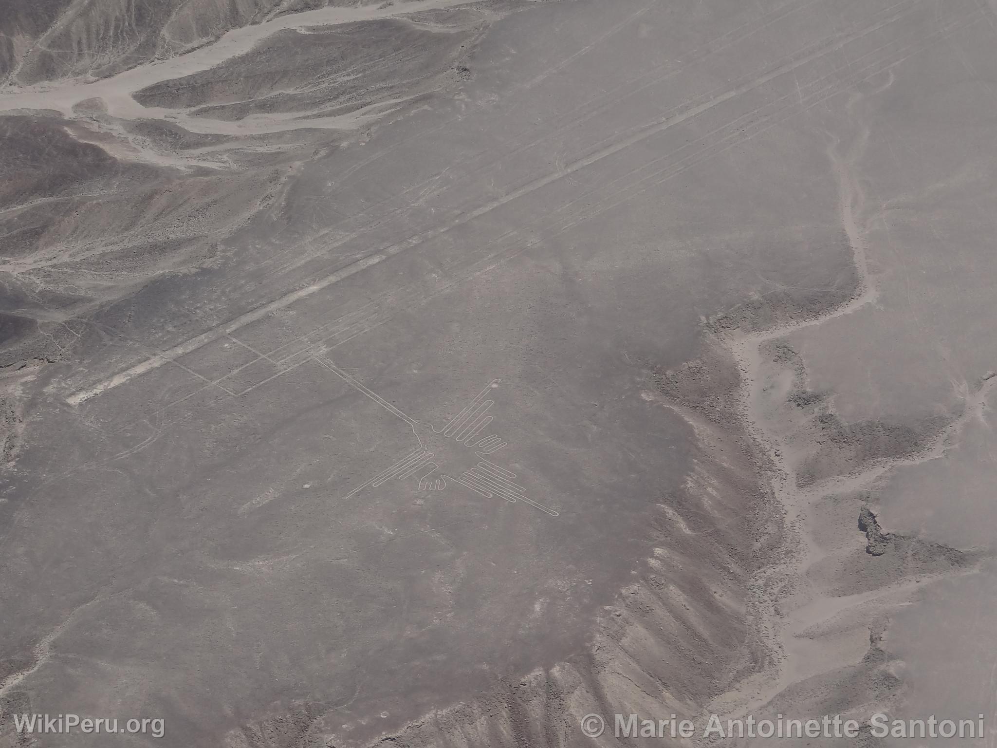 Nazca lines