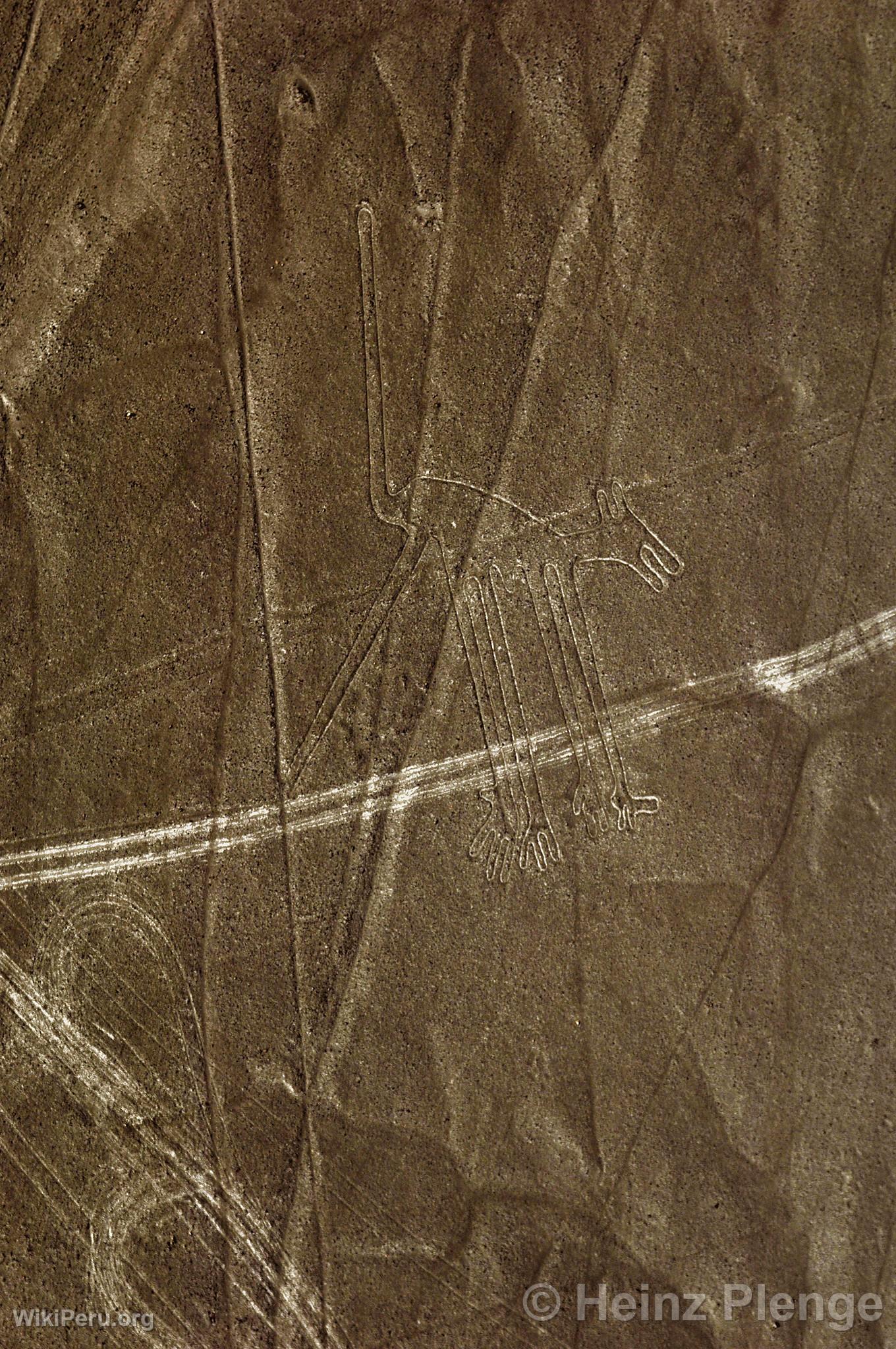 Nazca lines