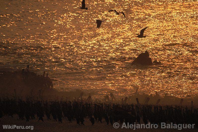 Sunset in Punta Coles