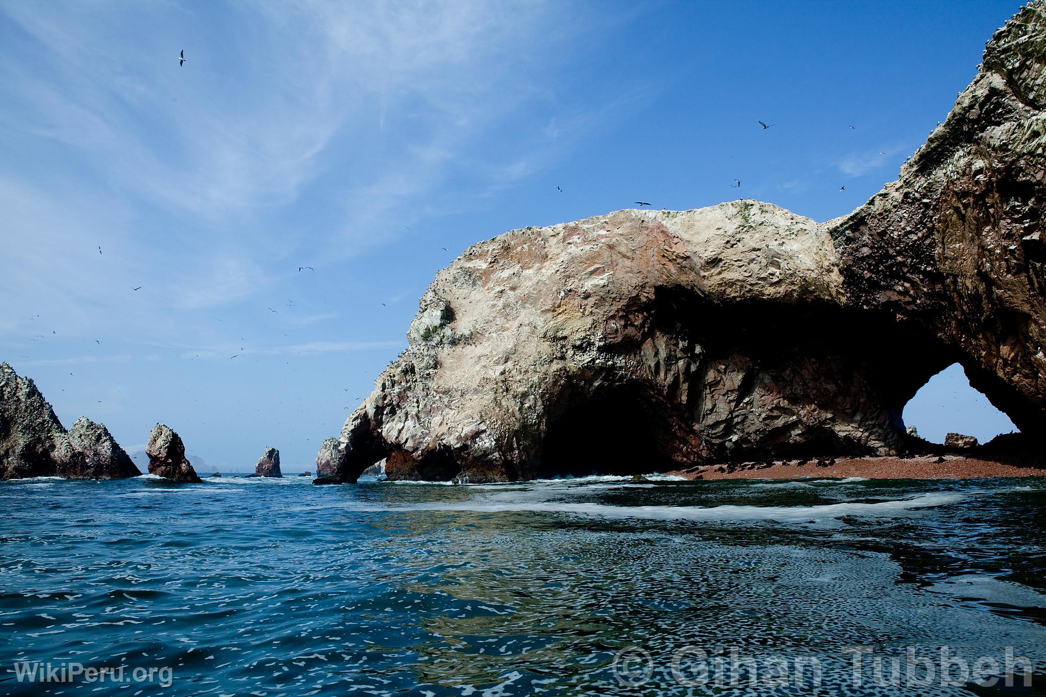 Ballestas Islands, Paracas