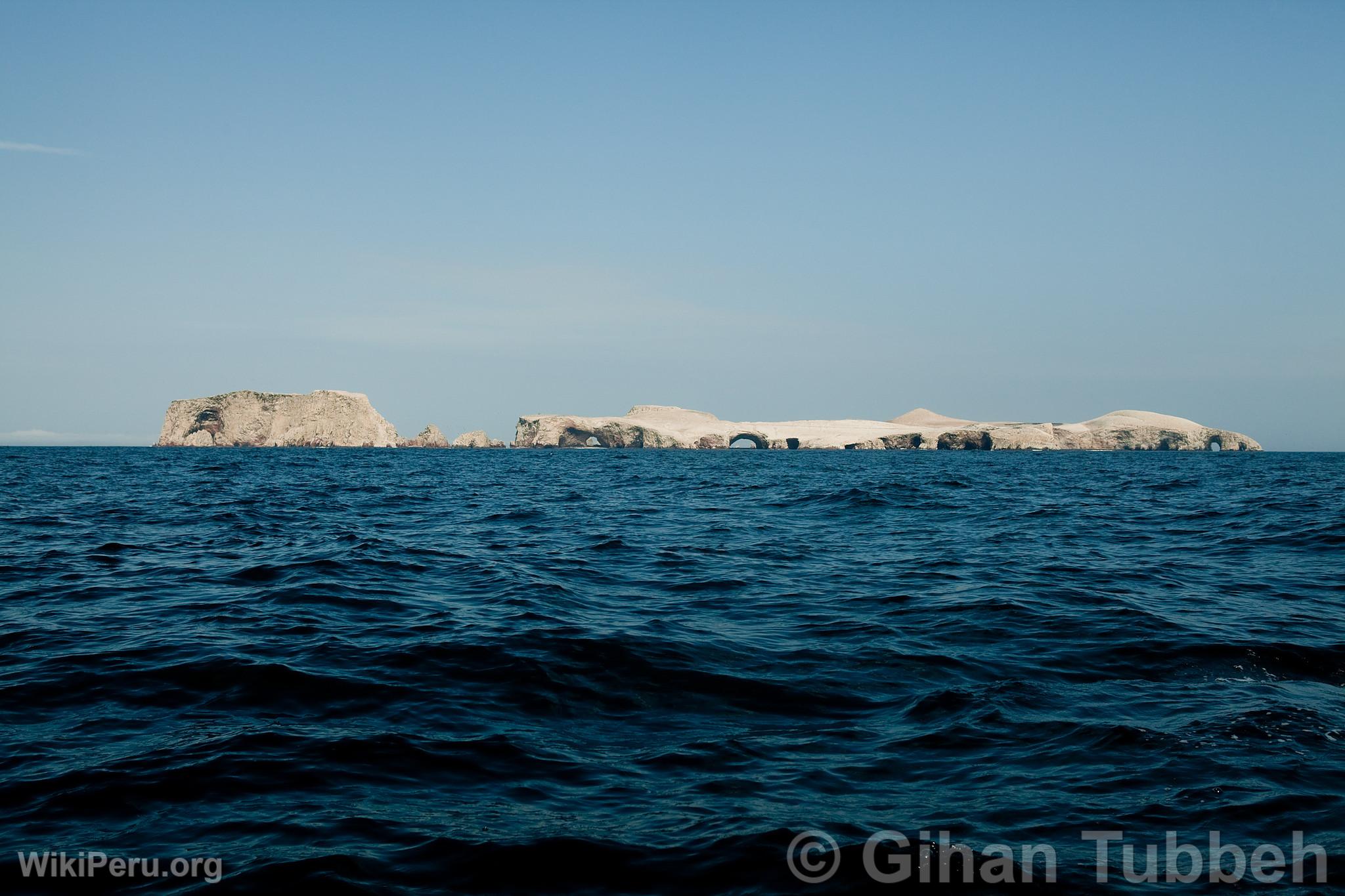 Ballestas Islands, Paracas