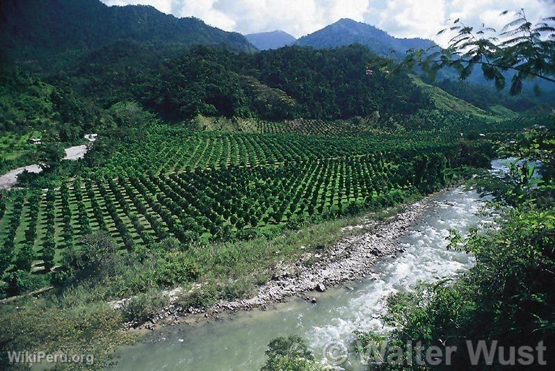 Huancabamba Valley, Pasco