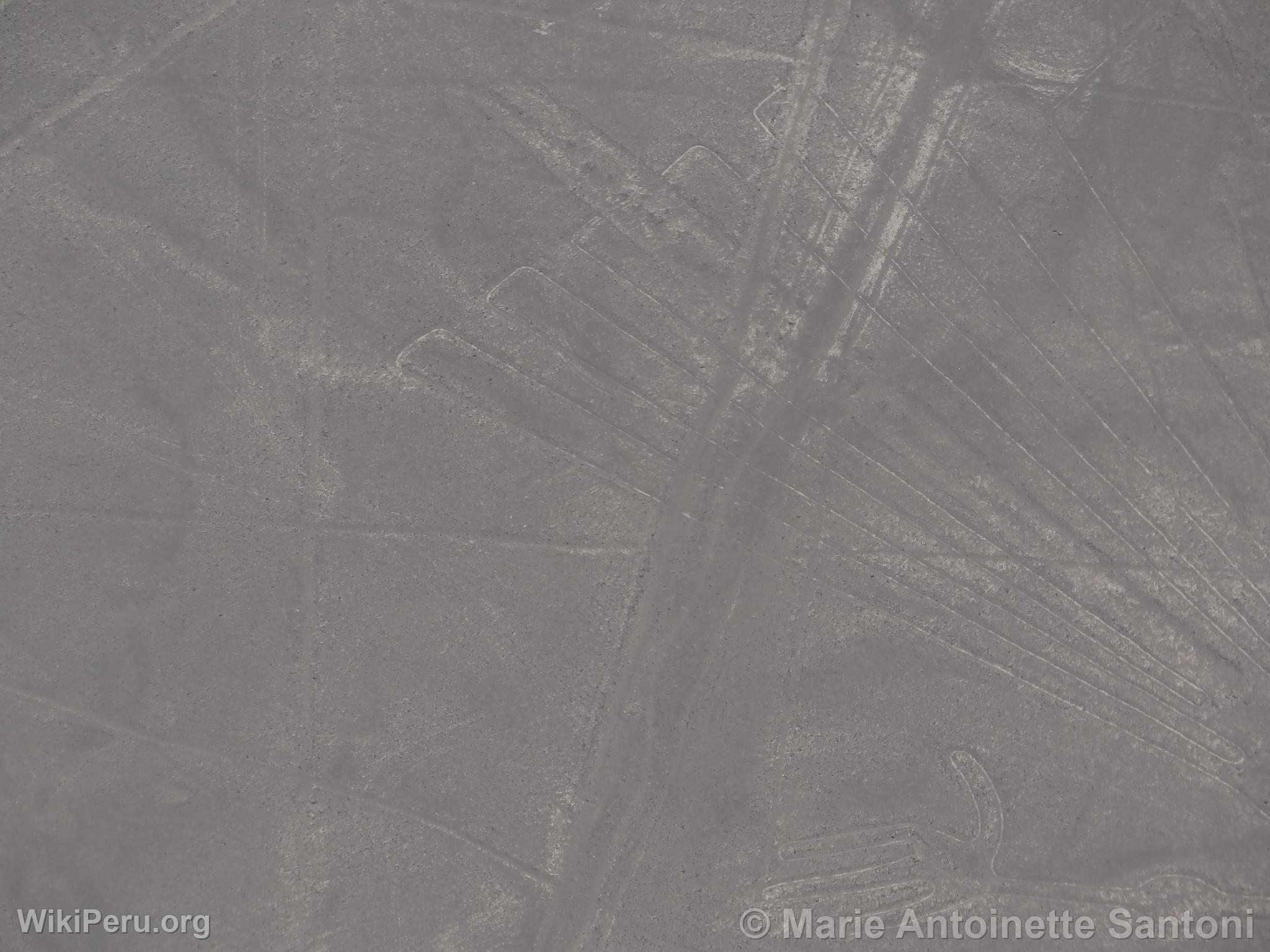 Nazca lines