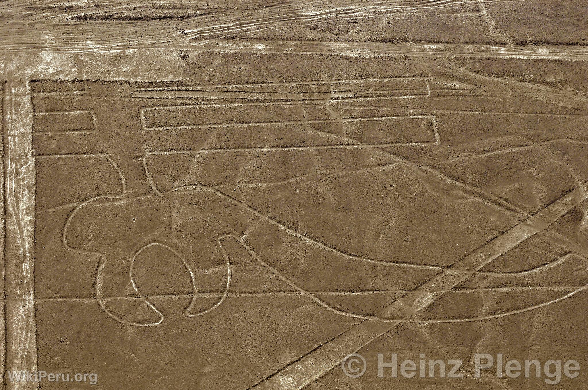 Nazca lines