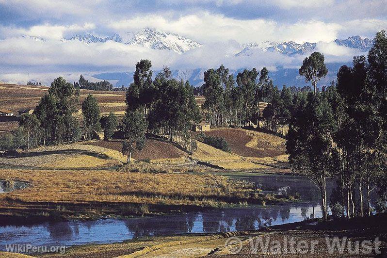 Piuray countryside