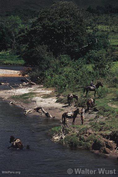 Chotabamba River. Pasco