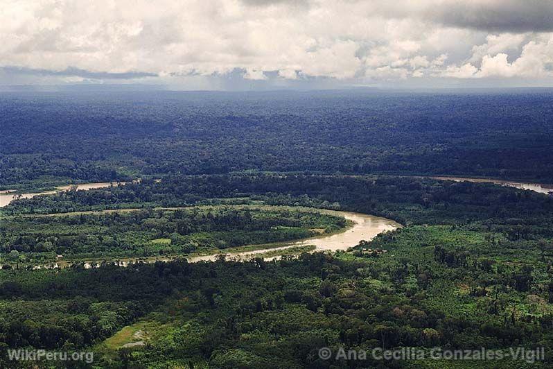 Amazonian Plain