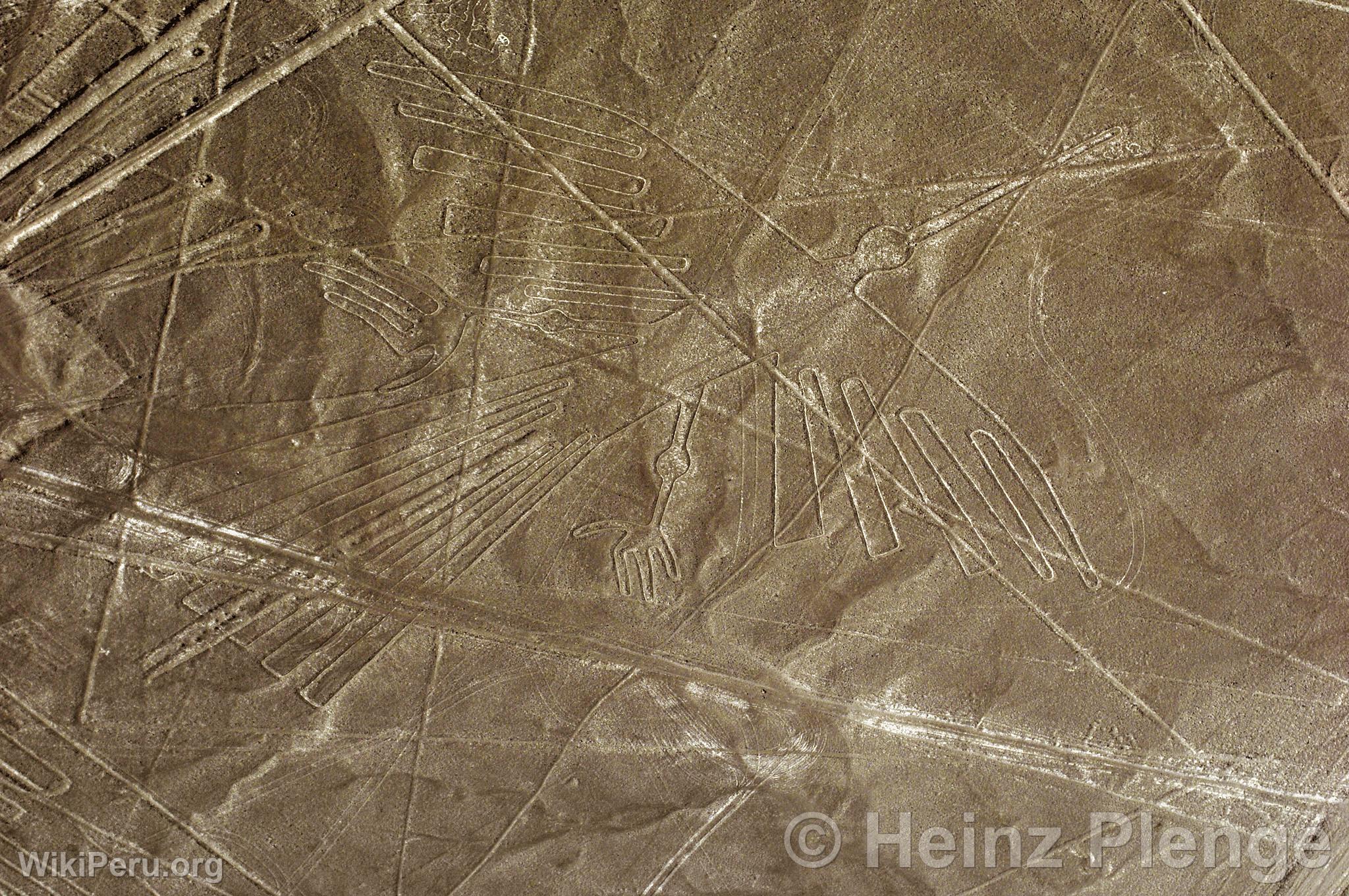 Nazca lines