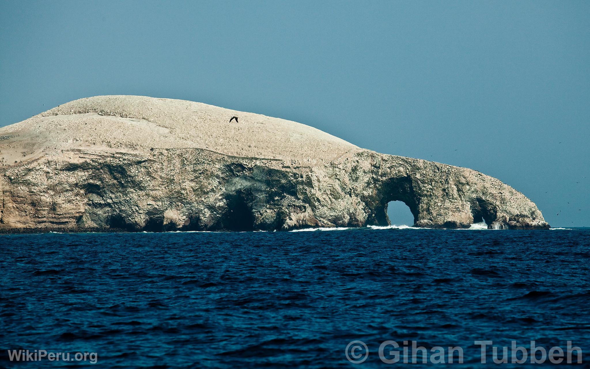 Ballestas Islands, Paracas