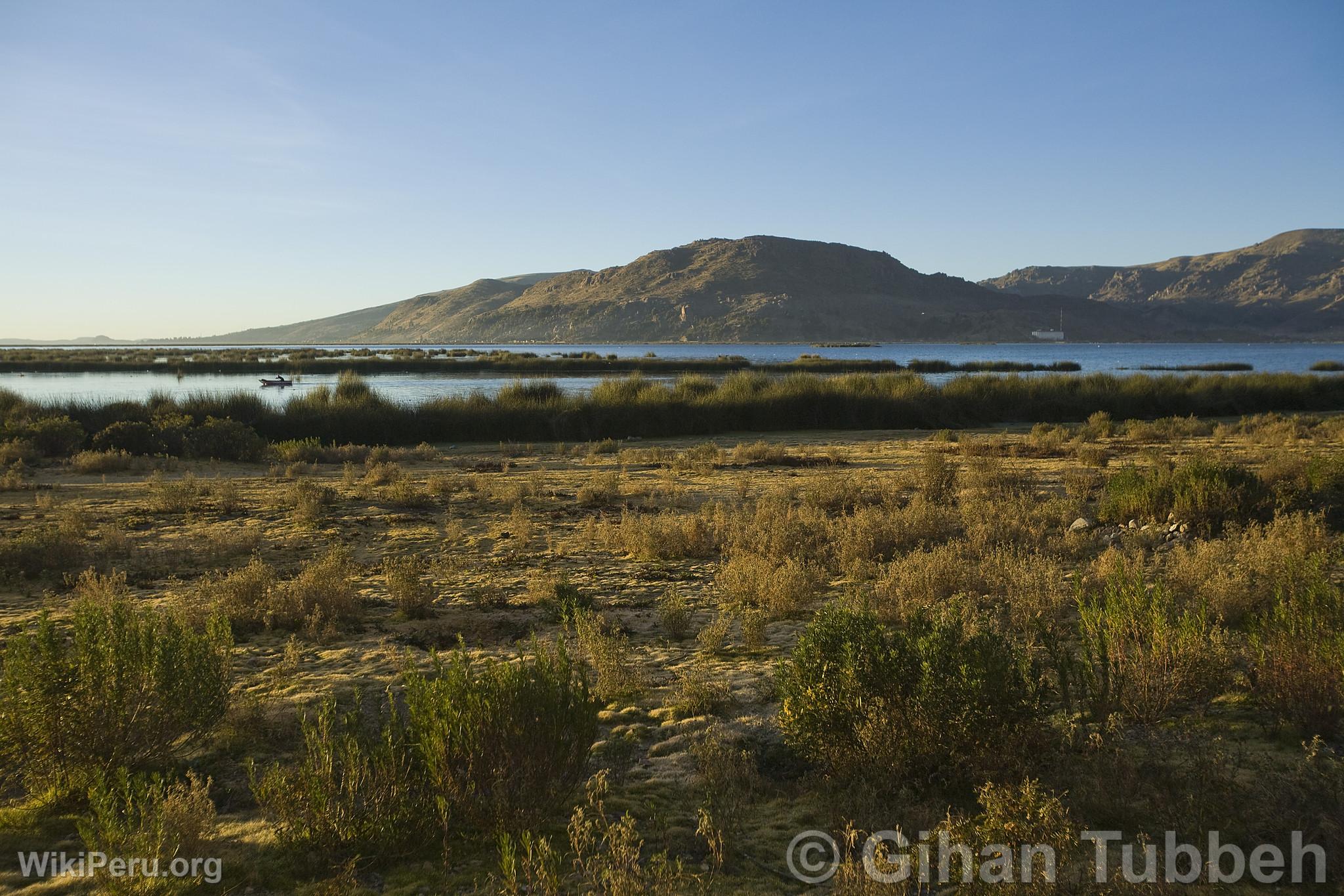 Esteves Island