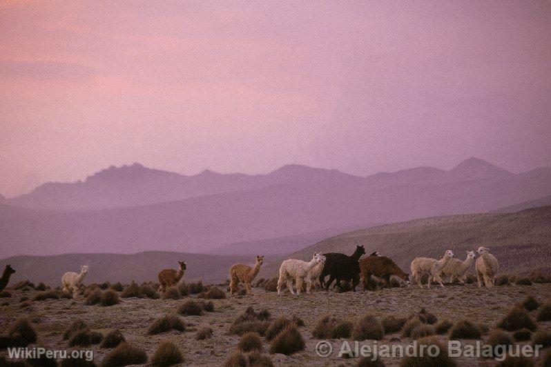 Salinas and Aguada Blanca National Reserve