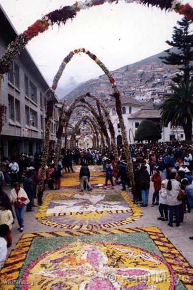 Carpet of flowers, Tarma