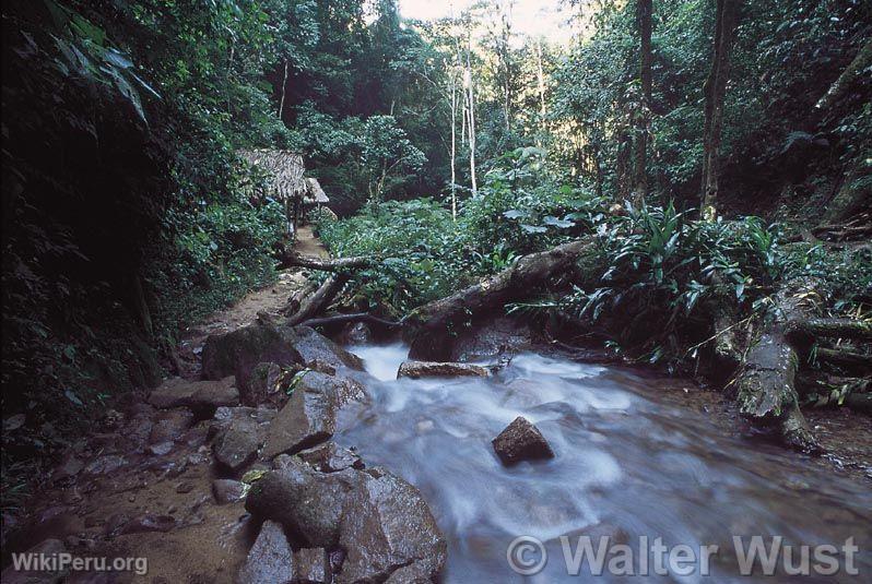 Pozuzo River