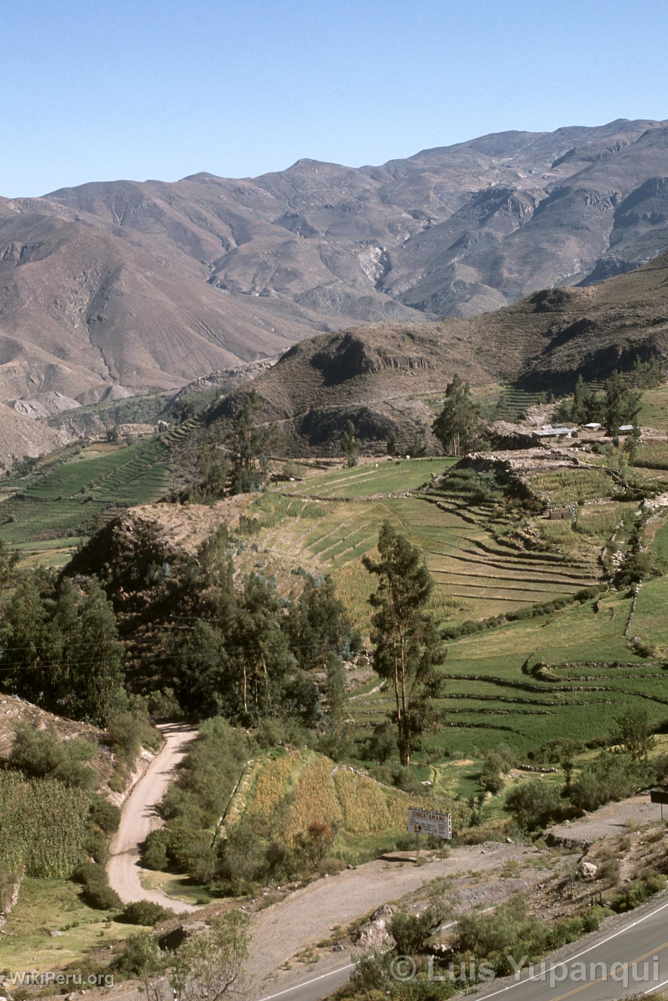 Countryside, Tarata