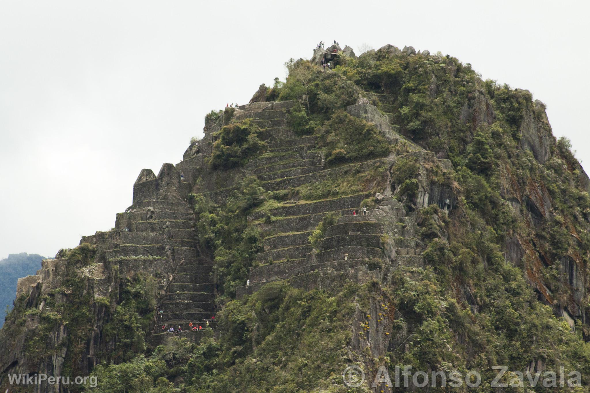 Citadel of Machu Picchu