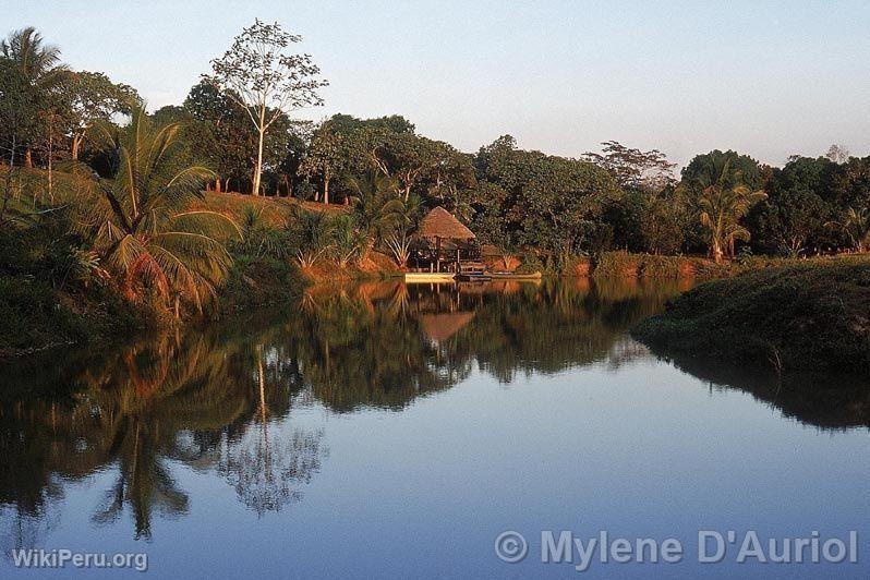 Puerto Palmeras. Lagoon