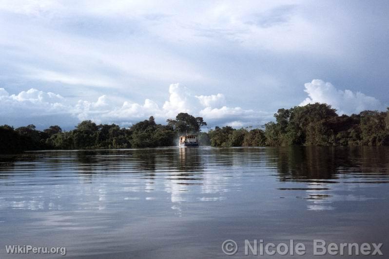 Amazon River