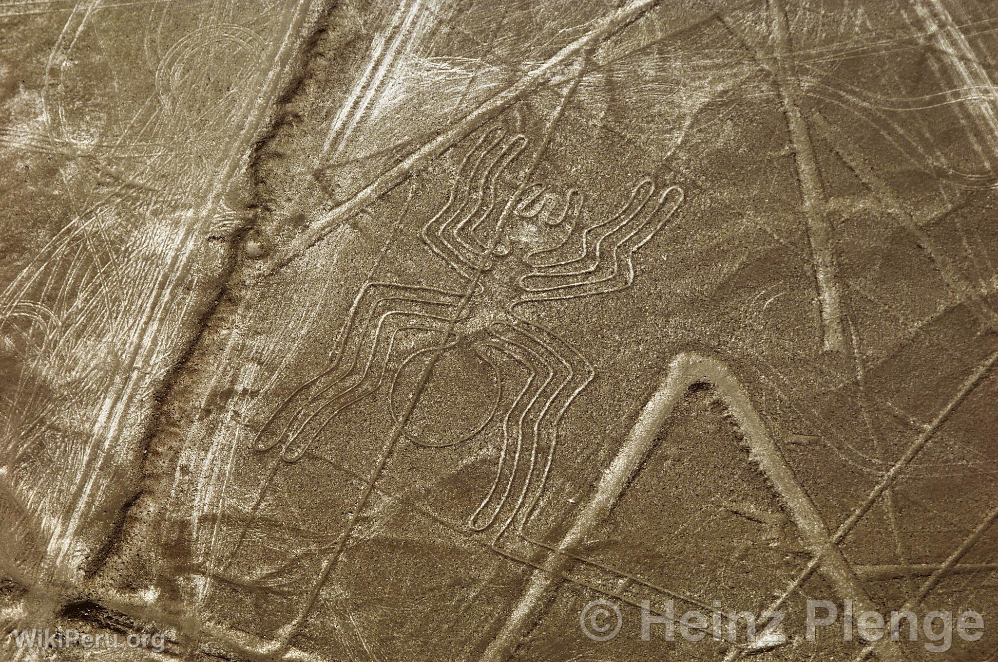 Nazca lines