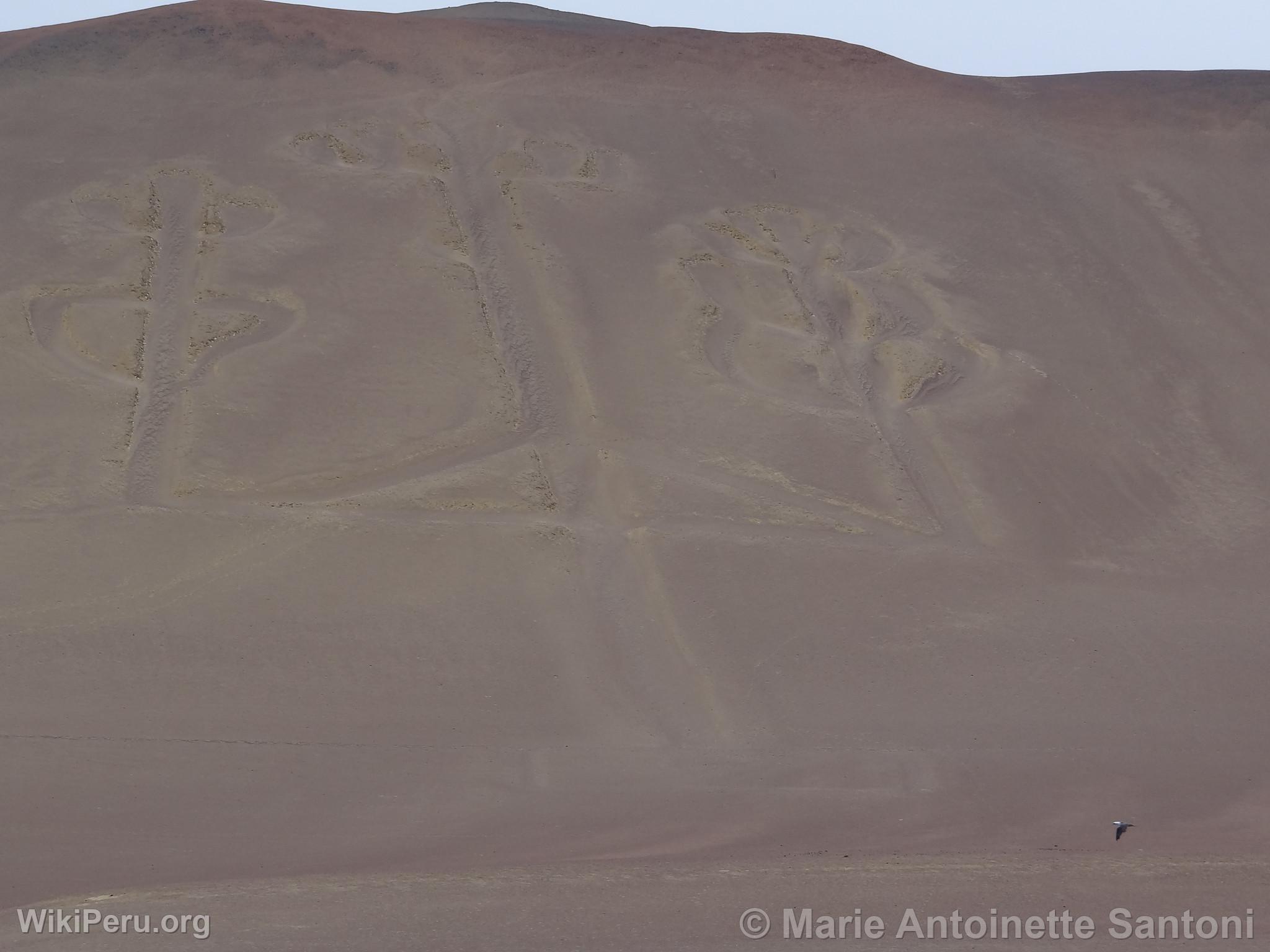 Ballestas Islands, Paracas