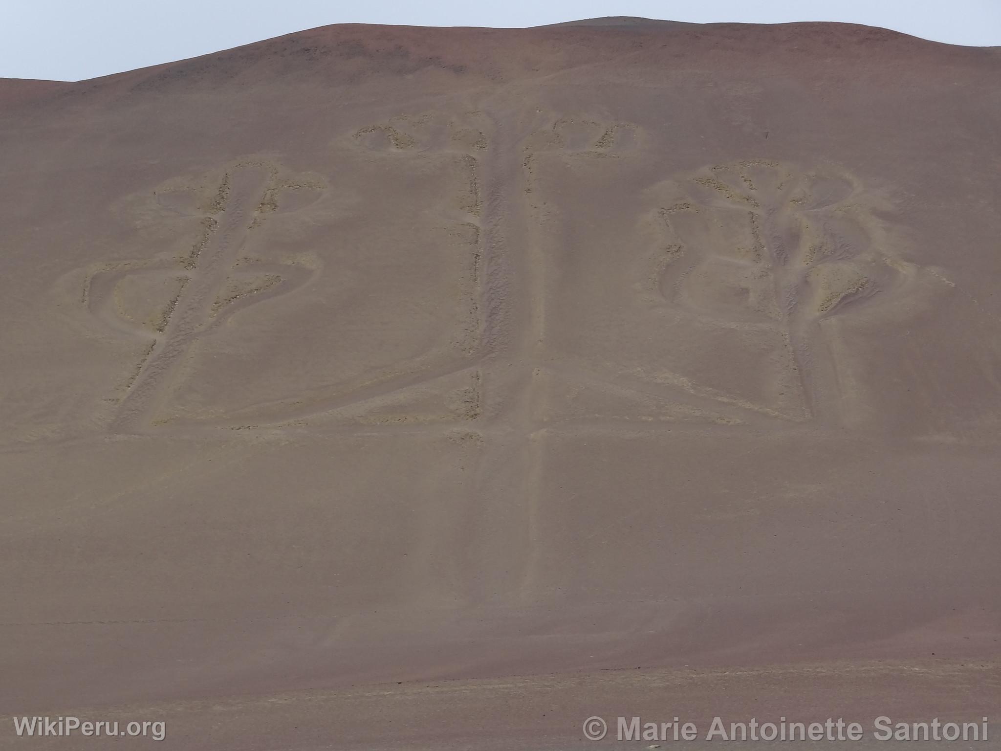 Ballestas Islands, Paracas