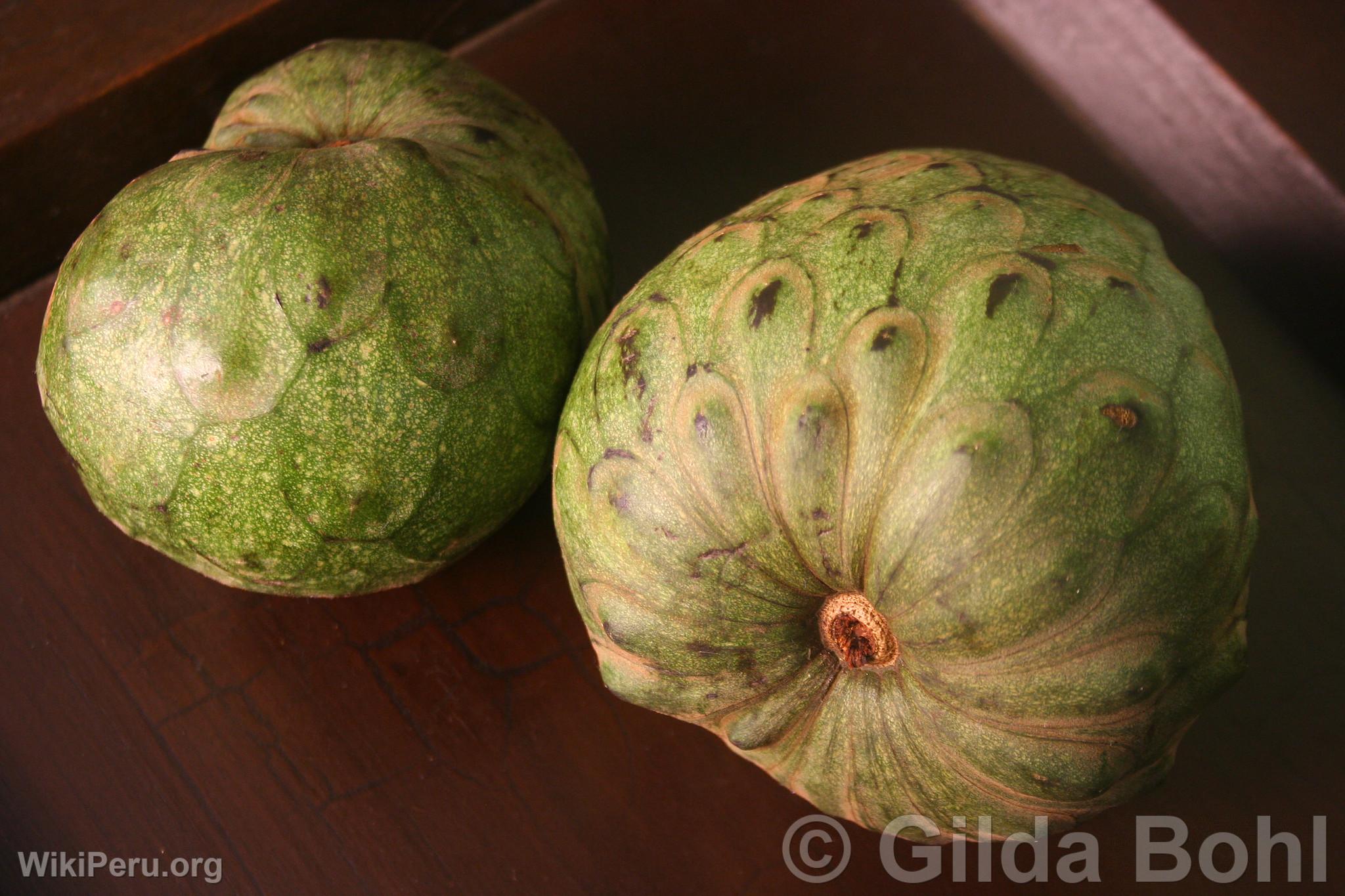 Cherimoya