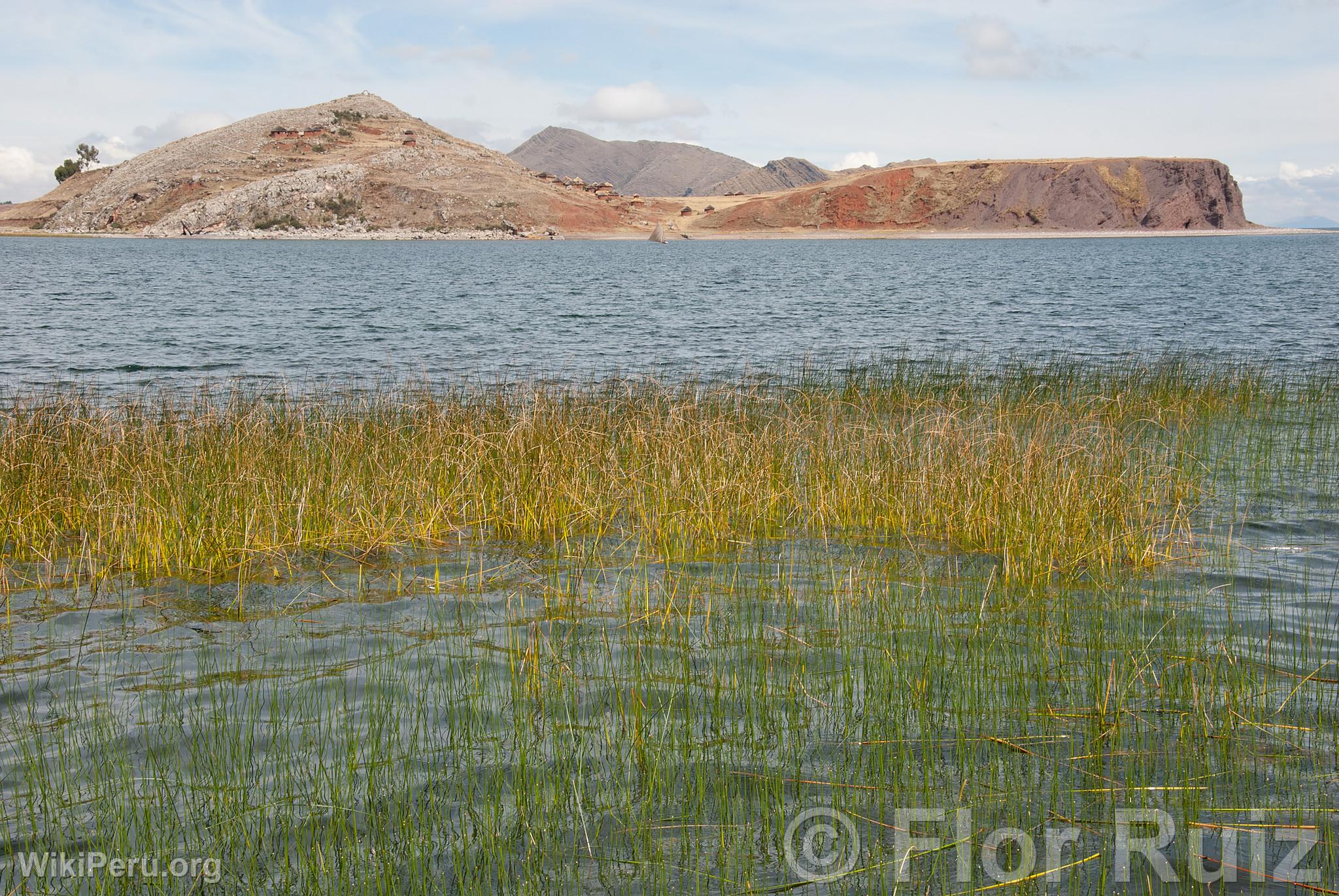 Tikonata Island on Lake Titicaca