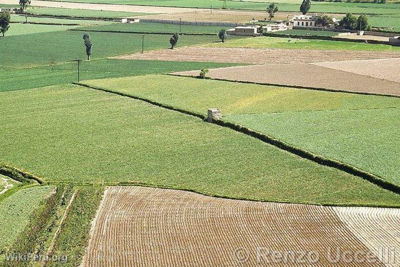 Arequipa countryside