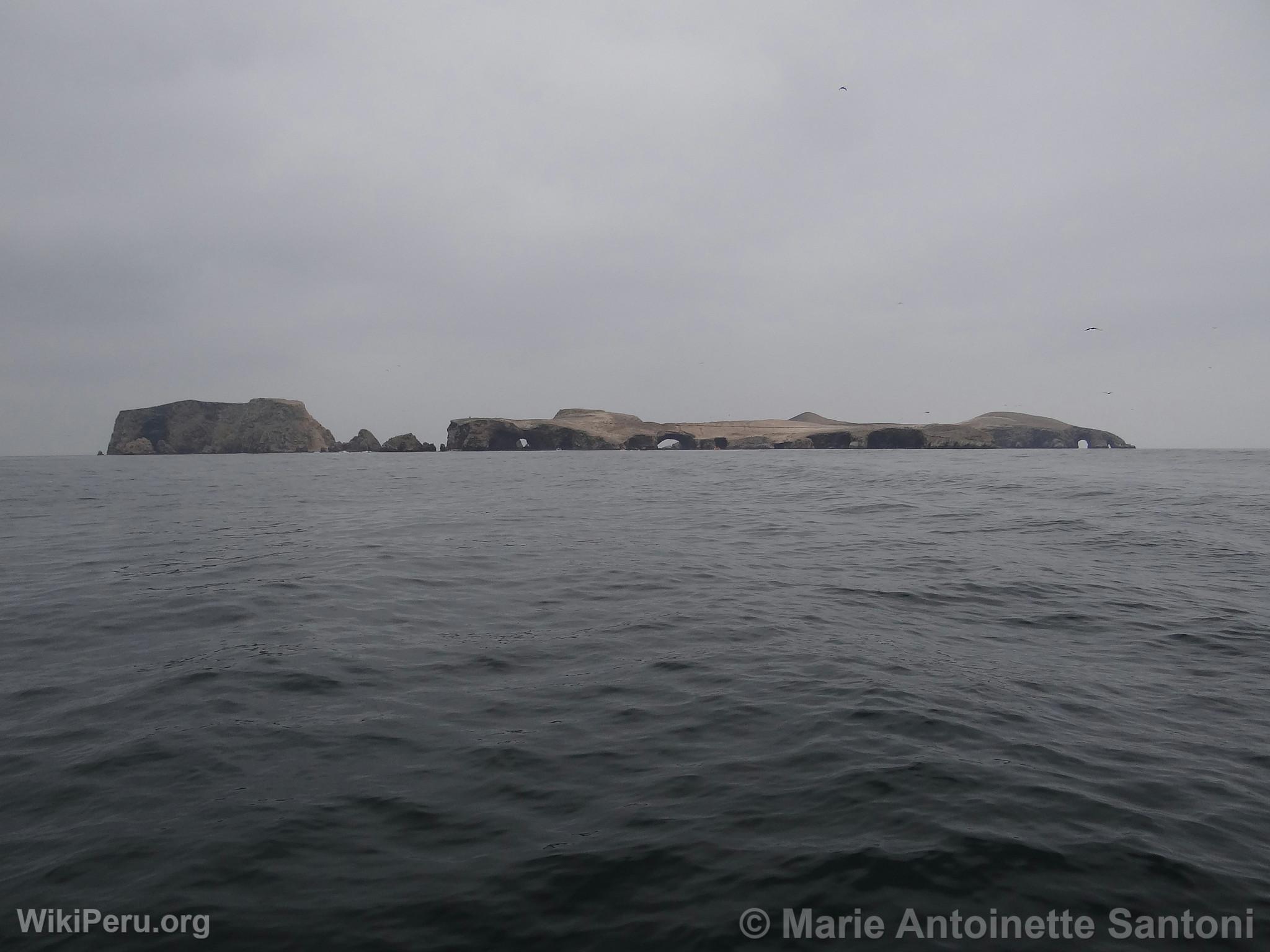 Ballestas Islands, Paracas