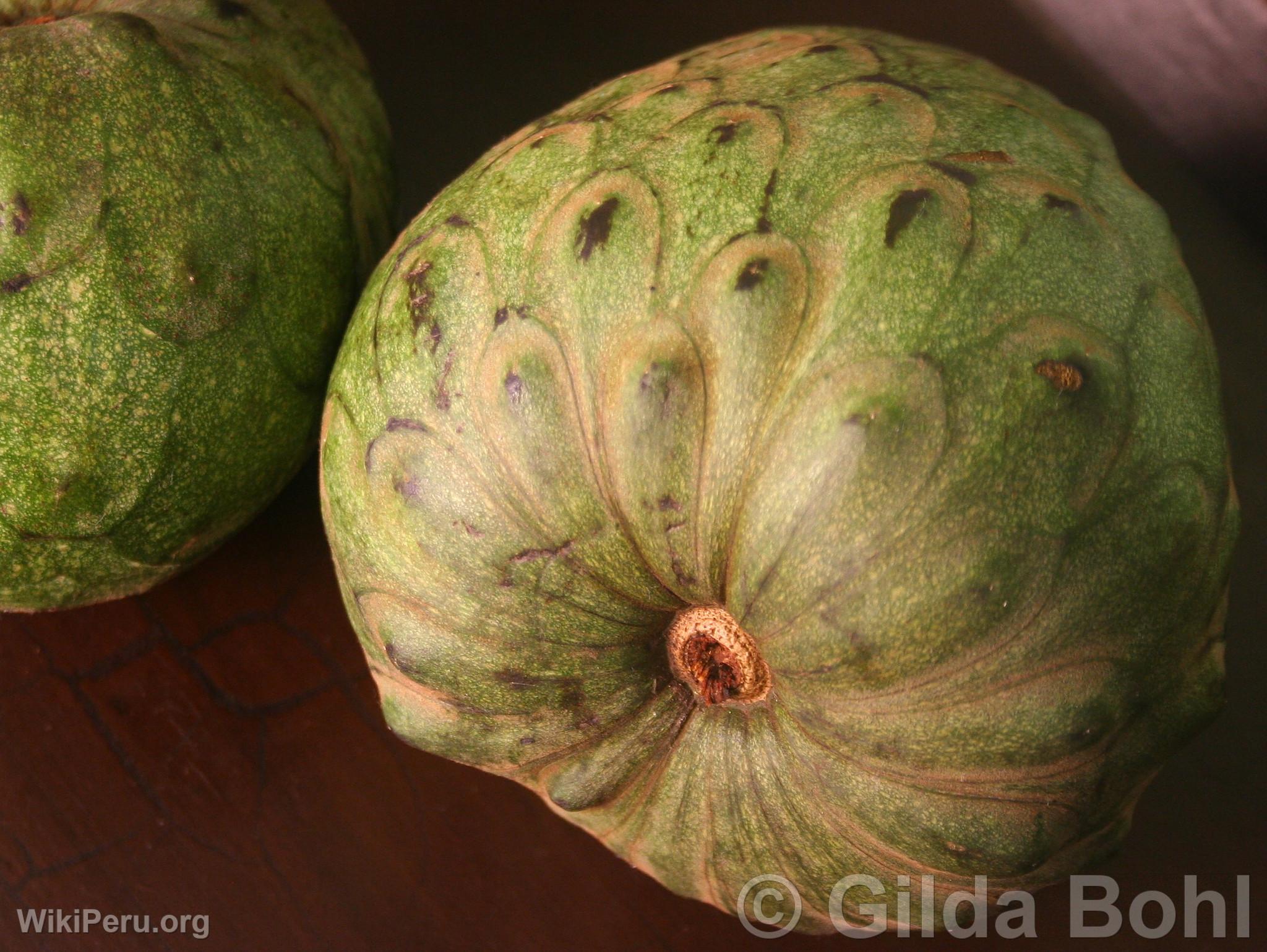 Cherimoya