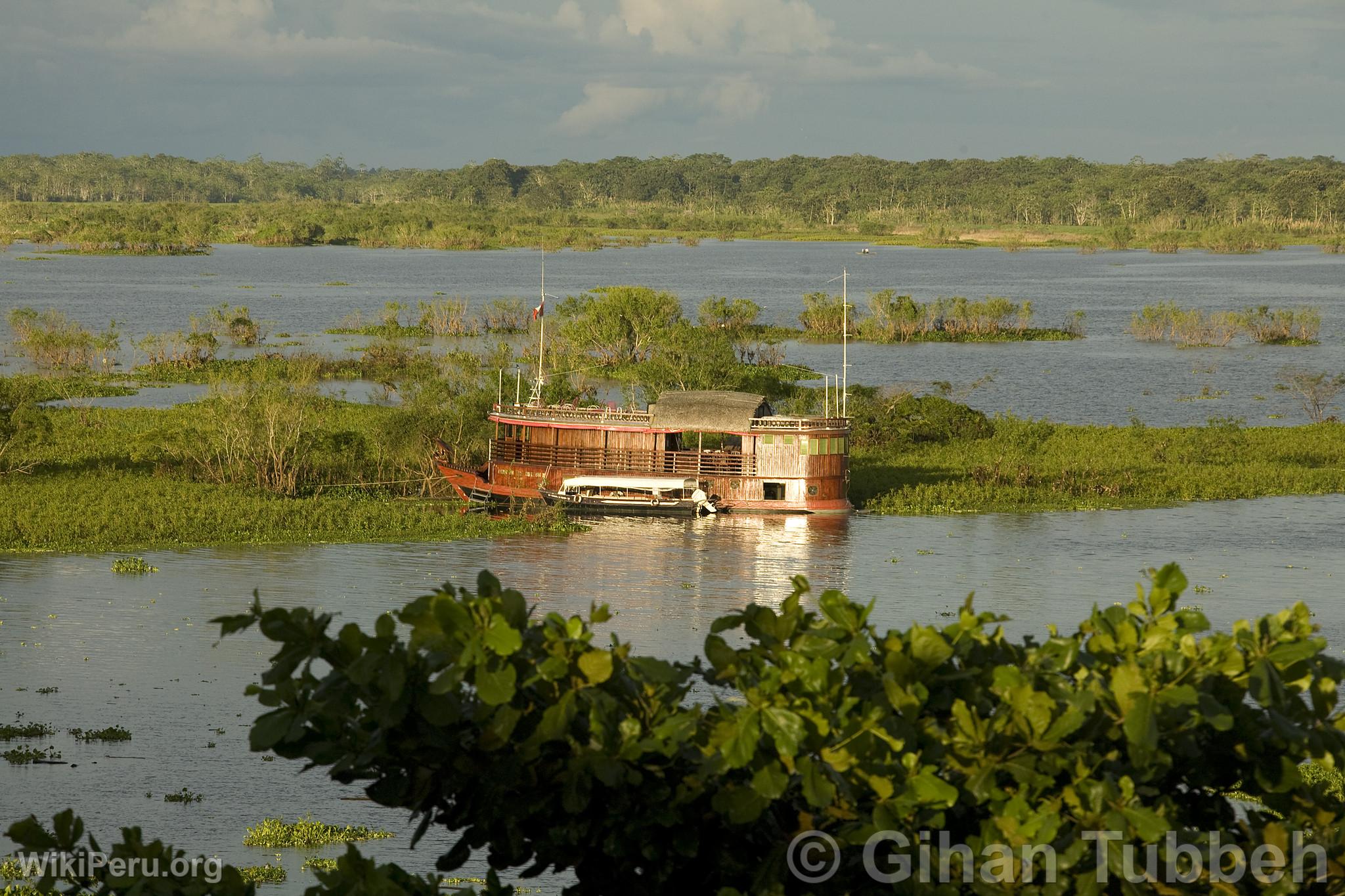 Cruise in Iquitos