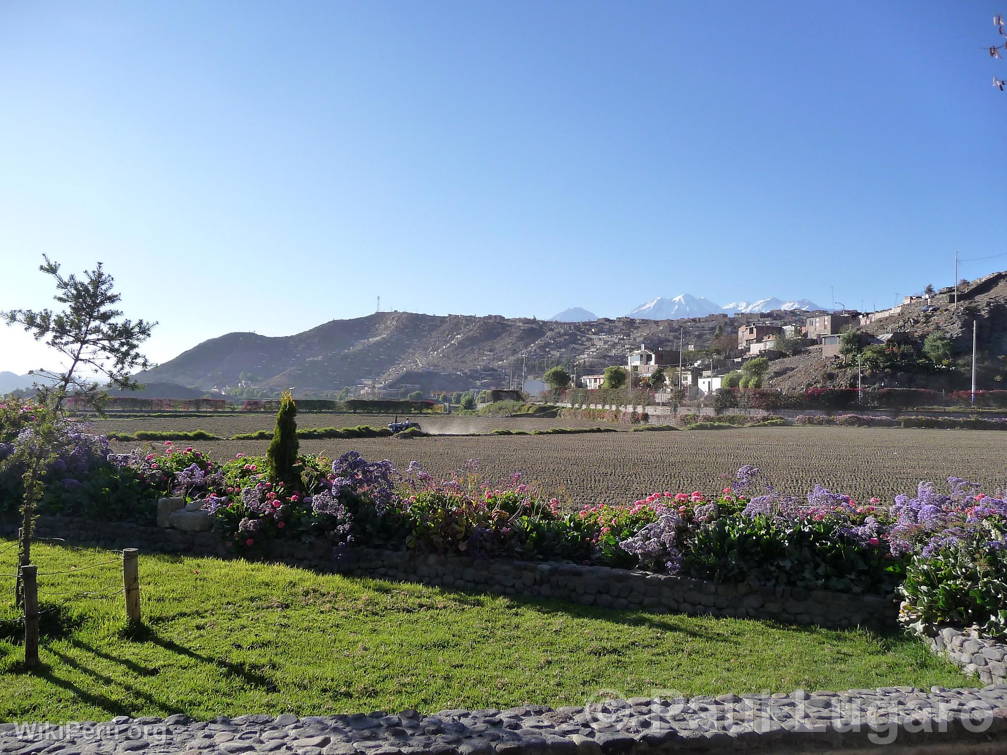 Arequipa